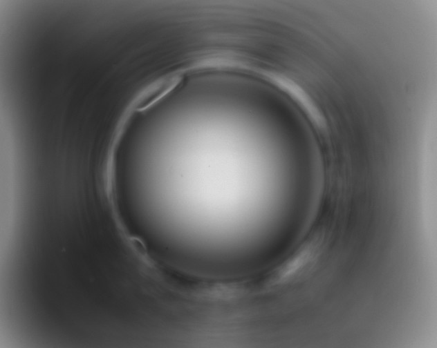 X0000092330815200709211306