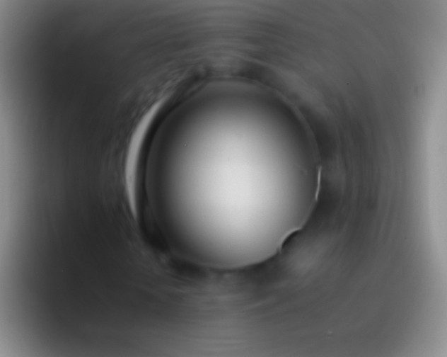 X0000092330818200709211305