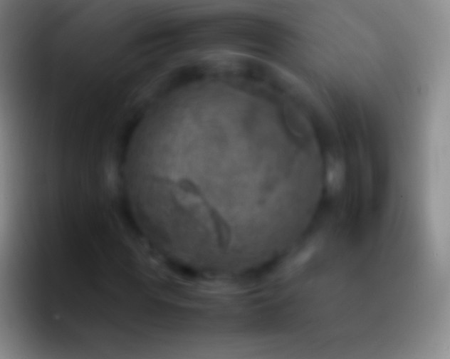 X0000092330819200709211305