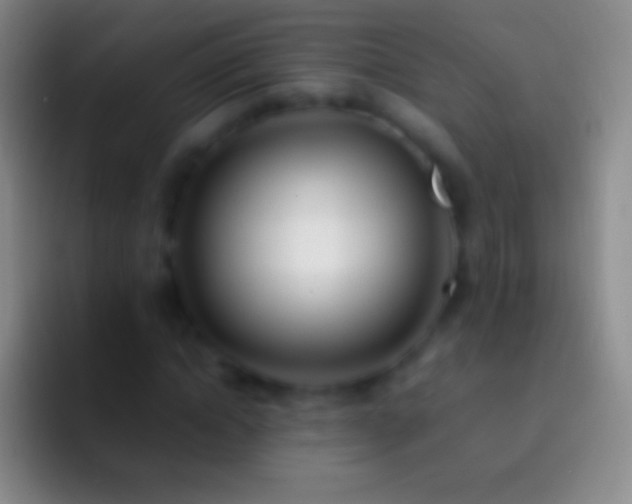 X0000092330822200709211305