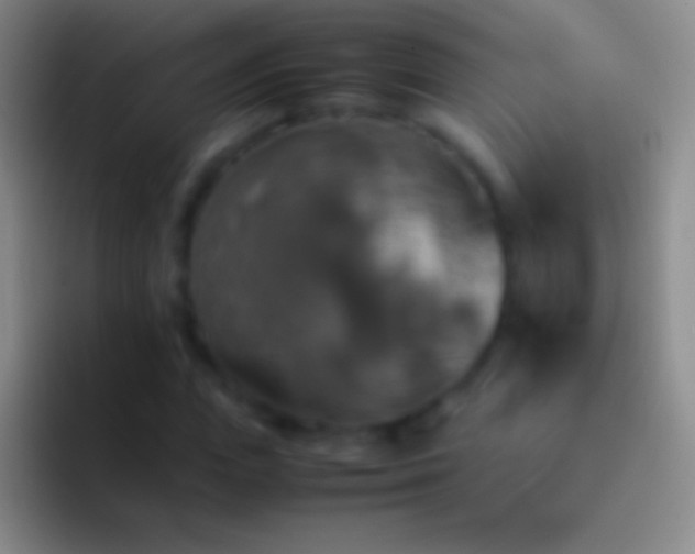 X0000092330823200709211305