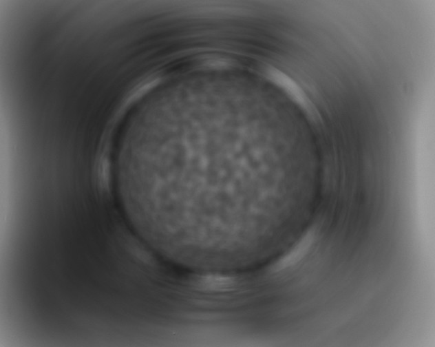 X0000092330827200709211305