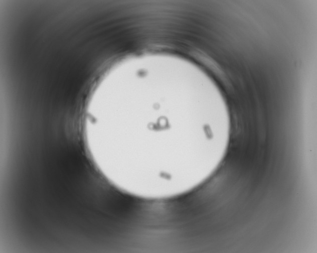 X0000092330828200709211305