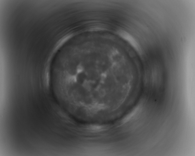 X0000092330829200709211306