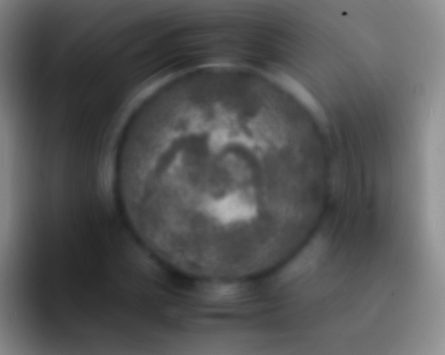 X0000092330831200709211306