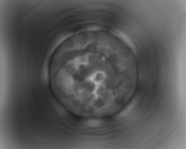 X0000092330835200709211306