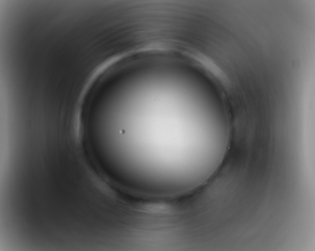 X0000092330838200709211306