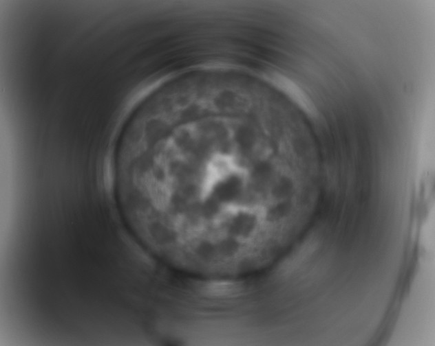 X0000092330839200709211306