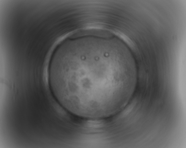X0000092330840200709211306