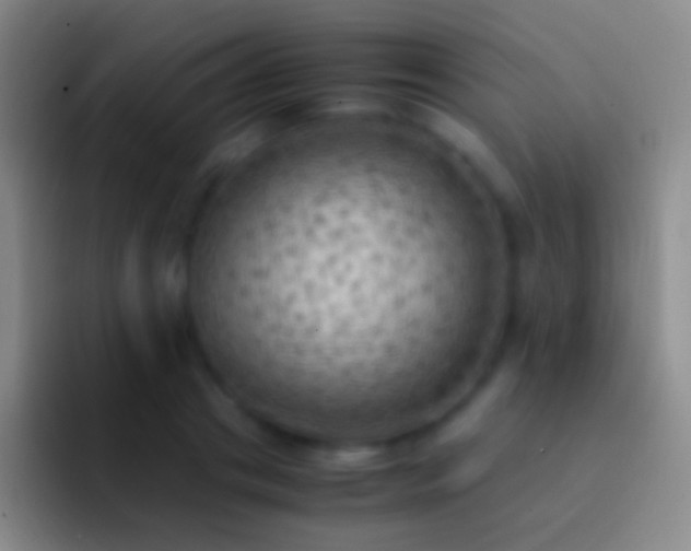 X0000092330841200709211306