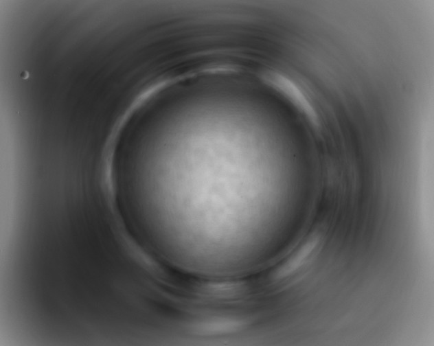 X0000092330843200709211306