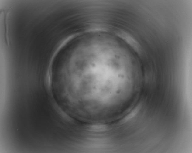 X0000092330844200709211306