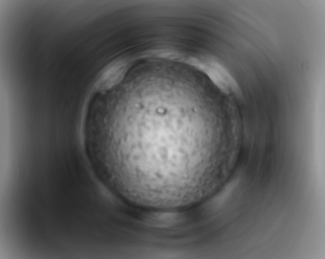 X0000092330845200709211306