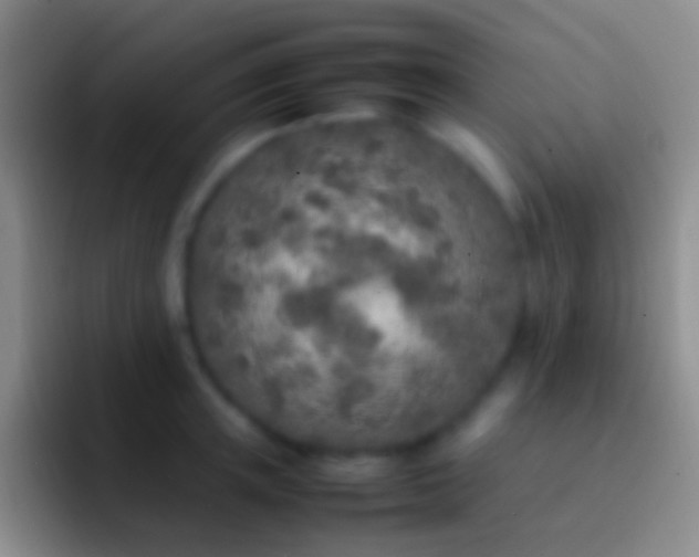 X0000092330851200709211306