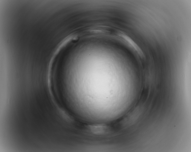 X0000092330853200709211306