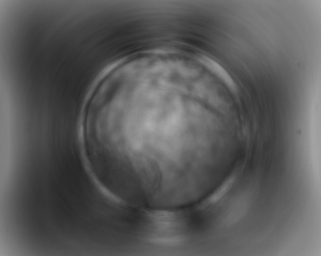 X0000092330855200709211306
