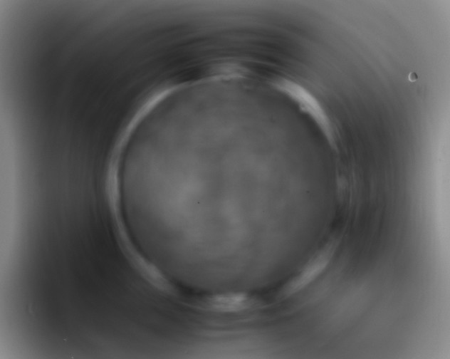 X0000092330859200709211306
