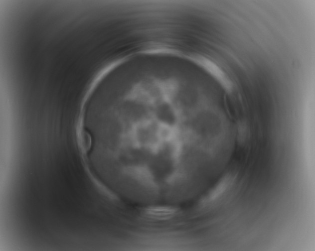 X0000092330863200709211306