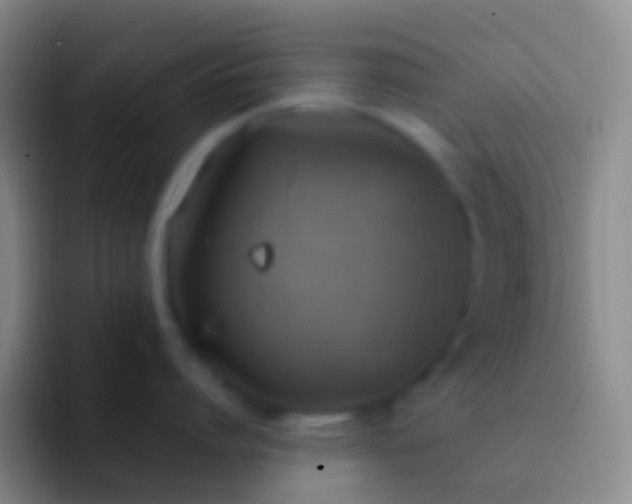 X0000092330864200709211306