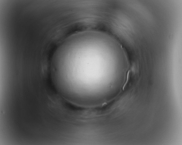 X0000092330867200709211305