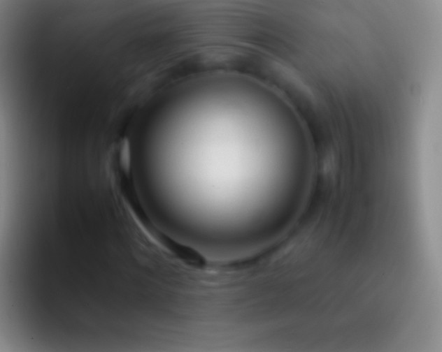 X0000092330868200709211305