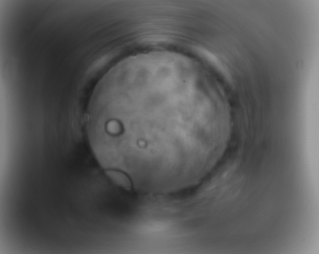 X0000092330871200709211305