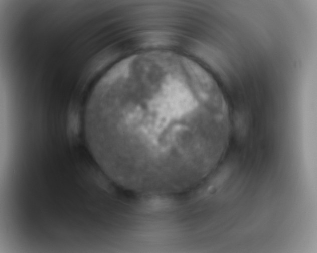 X0000092330874200709211305