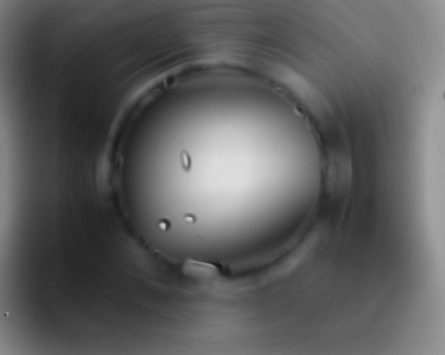 X0000092330876200709211305