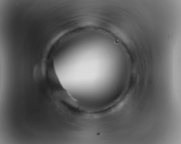 X0000092330877200709211305