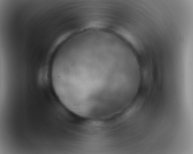 X0000092330878200709211305