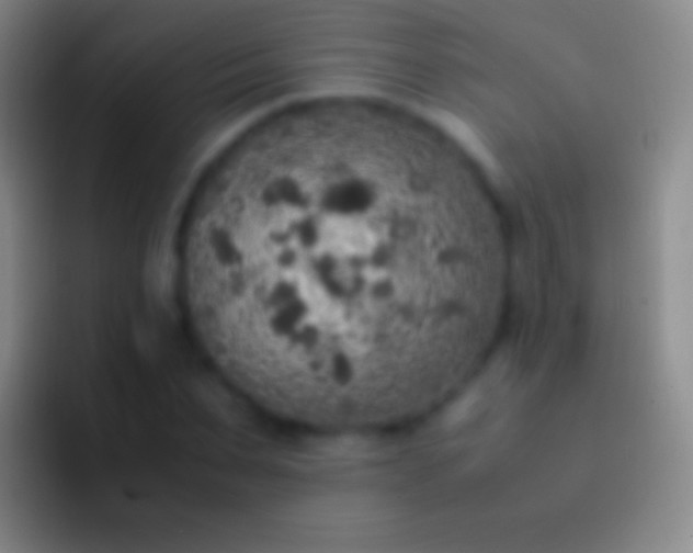 X0000092330879200709211305