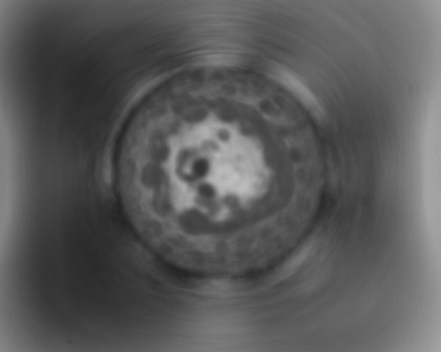 X0000092330883200709211305