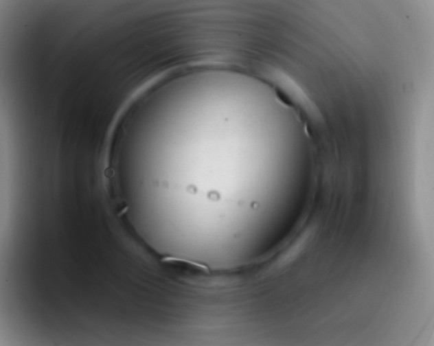 X0000092330884200709211305