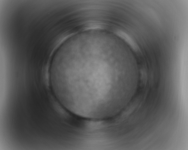 X0000092330890200709211305