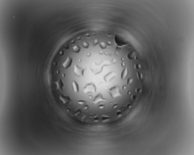 X0000092330891200709211305