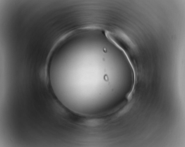 X0000092330892200709211305