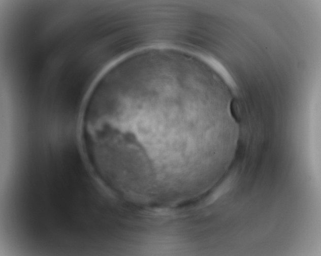 X0000092330903200709211305