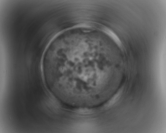 X0000092330907200709211305