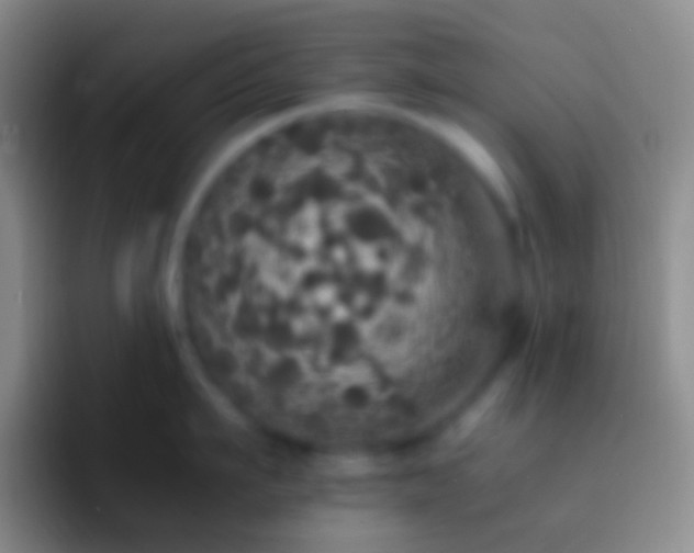 X0000092330911200709211305