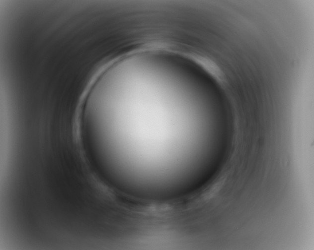 X0000092330912200709211305