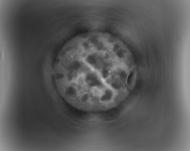X0000092330913200709211304