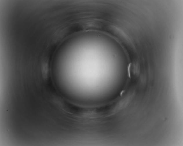 X0000092330915200709211304