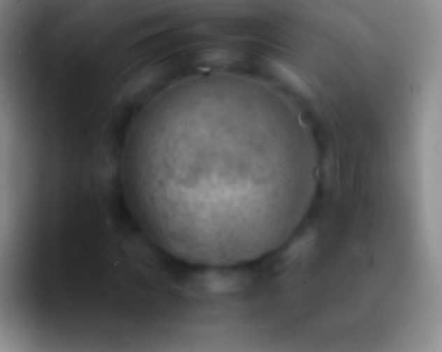 X0000092330917200709211304