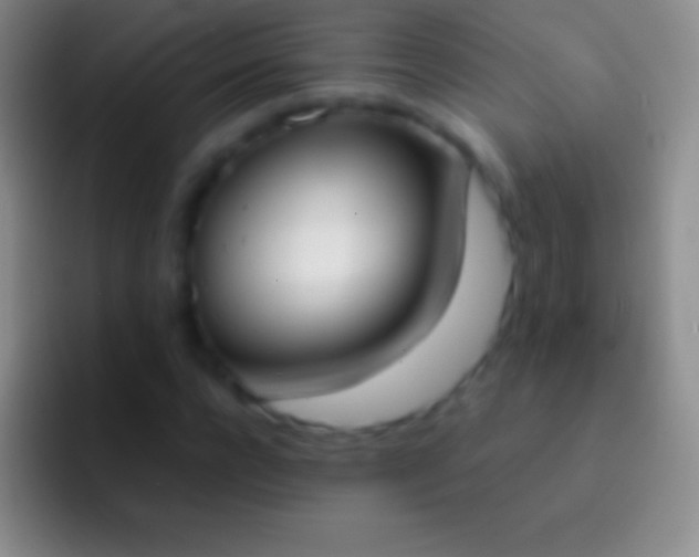 X0000092330920200709211304