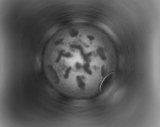X0000092330921200709211304