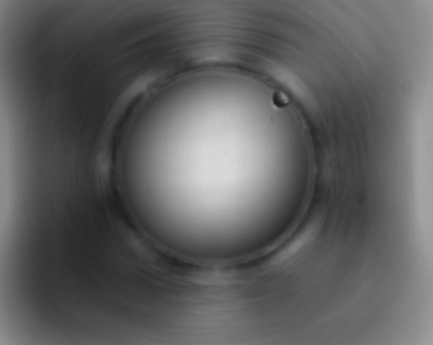 X0000092330922200709211304
