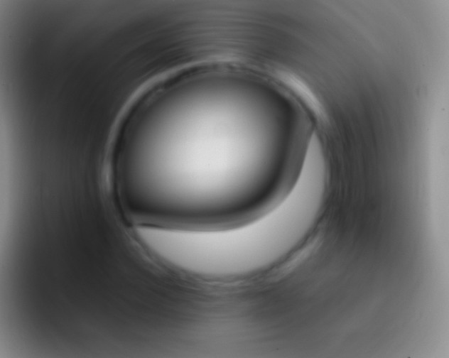 X0000092330924200709211304