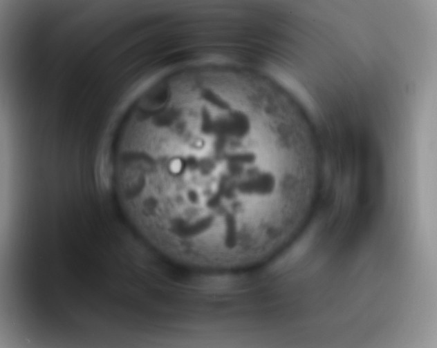 X0000092330925200709211304