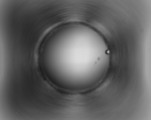 X0000092330926200709211304