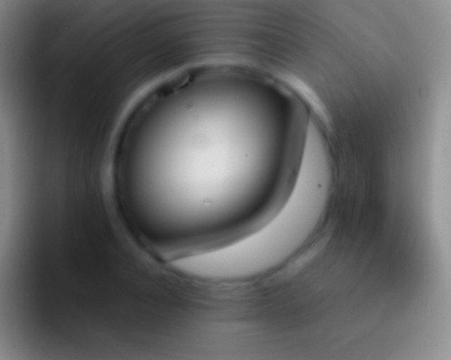 X0000092330928200709211304